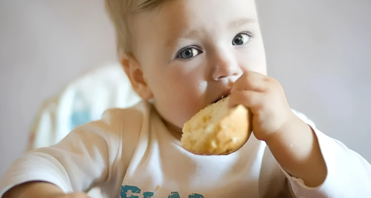 Bread for Babies: A Comprehensive Guide